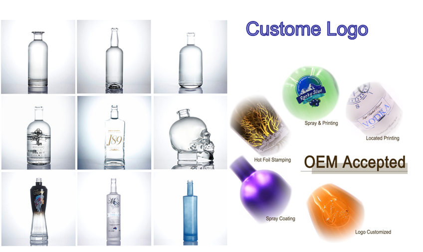 16456951181 16456951181